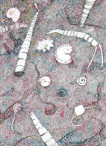 PointFossils
